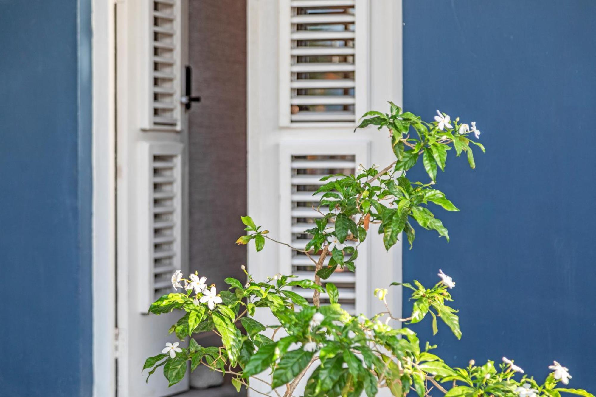 City Apartment Willemstad Dış mekan fotoğraf